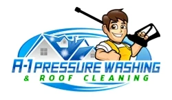 A-1 Pressure Washing & Roof Cleaning Logo